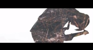 WalkingWithStrangers_Videostill