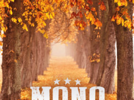 Der Podcast: Martin Engler von MONO INC. im Gespräch