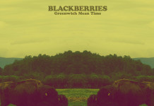 BLACKBERRIES