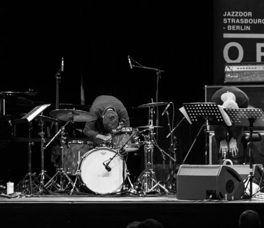 Jazzdor 2017, Berlin, Kesselhaus, Marc Ducret Métatonal by Henry Schulz
