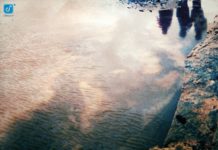 THE RECORD COMPANY – All Of This Life